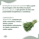 Óleo Vegetal de Alecrim para Crescimento Capilar | Vegano, Natural, Prensado a Frio – Fortalece e Estimula os Fios