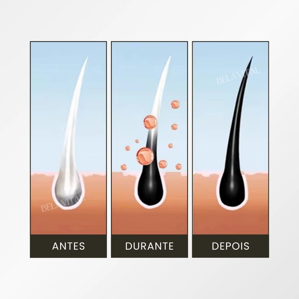 Shampoo Escurecedor Natural 3 em 1 Anti Queda e Reparador Capilar (Até 6 Meses) + Brinde