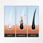 Shampoo Escurecedor Natural 3 em 1 Anti Queda e Reparador Capilar (Até 6 Meses) + Brinde
